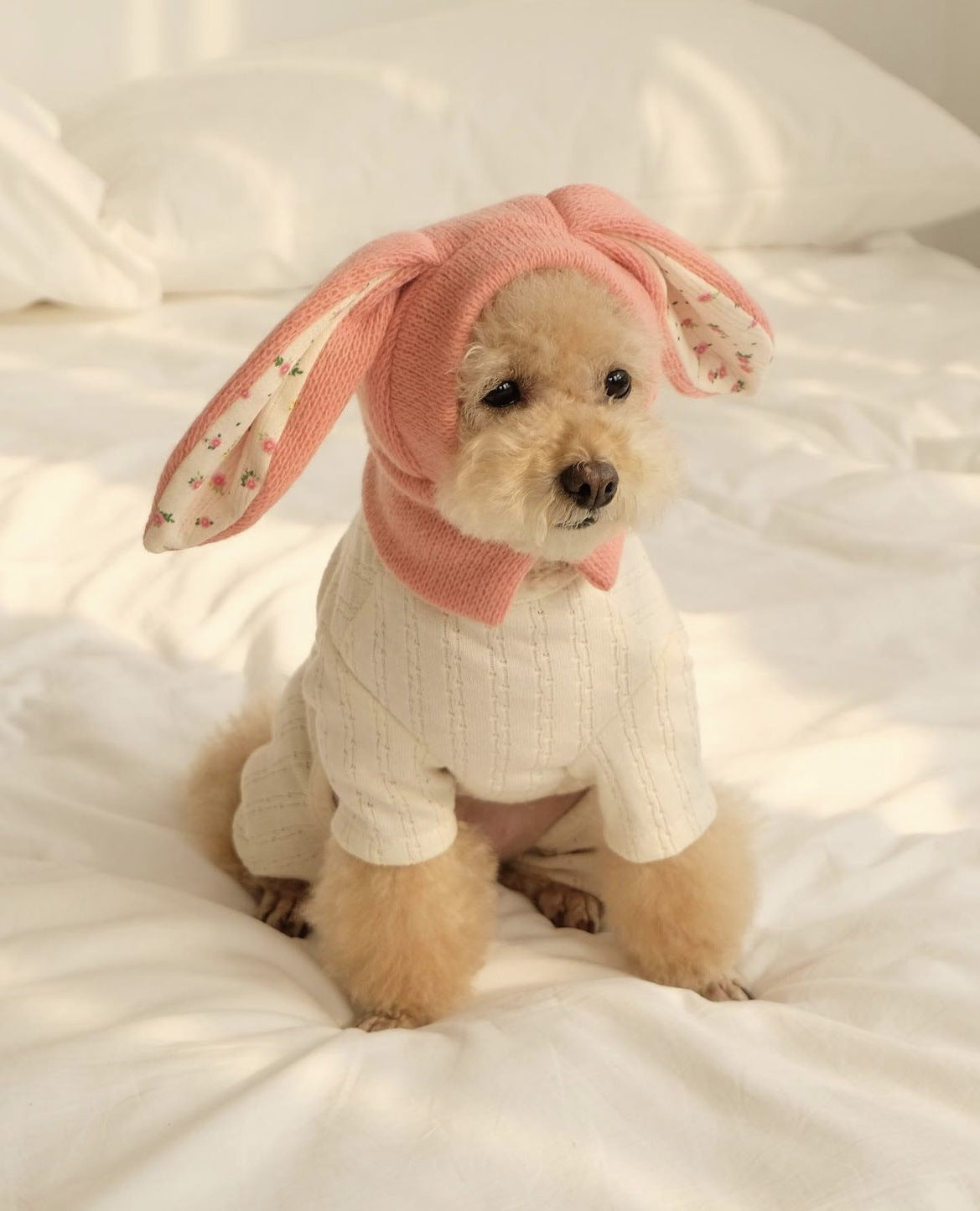 Dog Hat Autumn Winter Windproof Warmth Cover Cute Rabbit Ears Knitted Pet Cap Pink Ins Dogs Headwear New Kitten Puppy Earmuffs