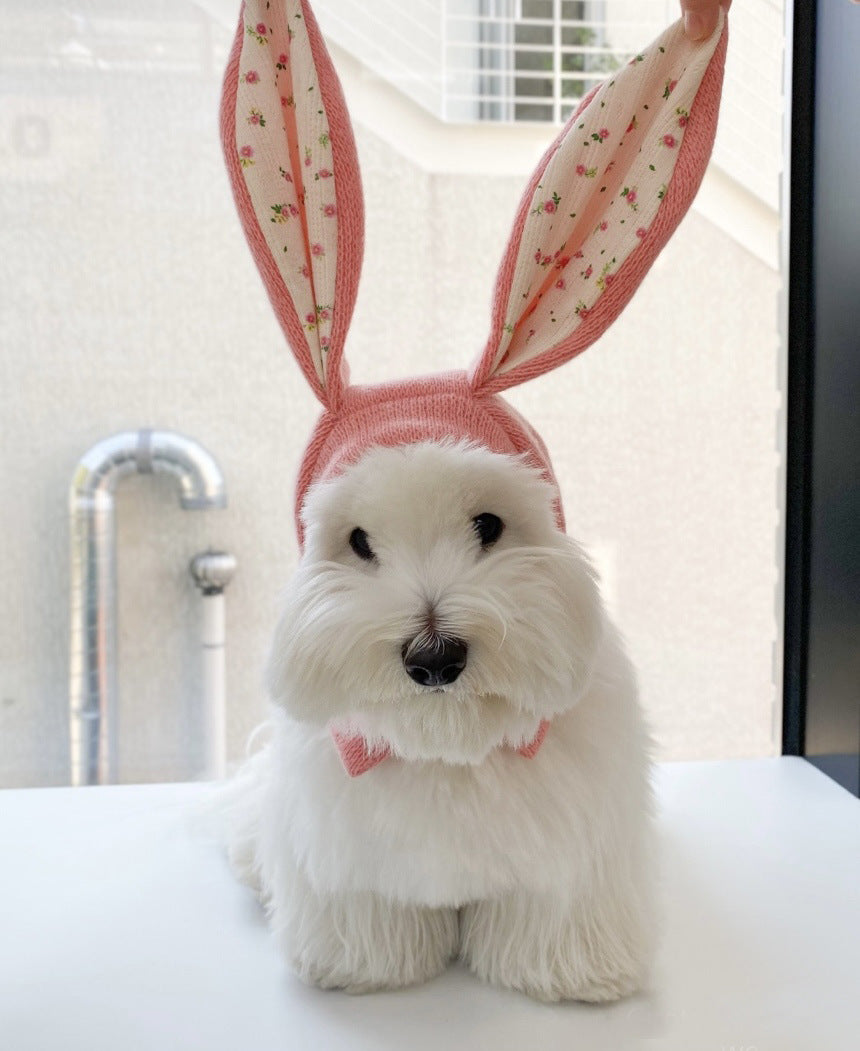 Dog Hat Autumn Winter Windproof Warmth Cover Cute Rabbit Ears Knitted Pet Cap Pink Ins Dogs Headwear New Kitten Puppy Earmuffs