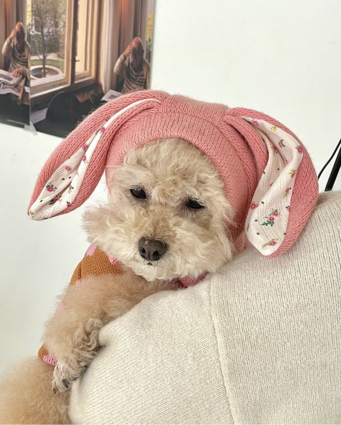 Dog Hat Autumn Winter Windproof Warmth Cover Cute Rabbit Ears Knitted Pet Cap Pink Ins Dogs Headwear New Kitten Puppy Earmuffs