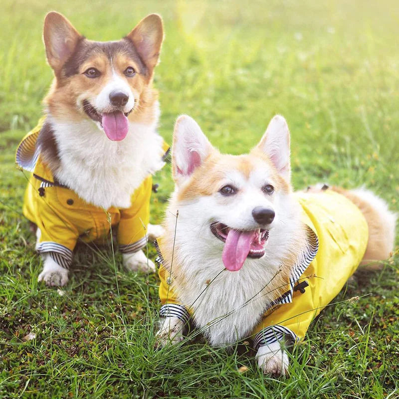 Waterproof Pet Dog Coat Jacket for Medium Large Dogs Fashion Puppy Cat Raincoat Shiba Inu Bulldog Poodle Clothes mascotas Outfit