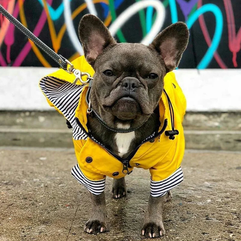 Waterproof Pet Dog Coat Jacket for Medium Large Dogs Fashion Puppy Cat Raincoat Shiba Inu Bulldog Poodle Clothes mascotas Outfit