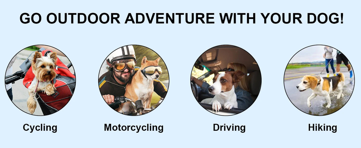 LETVIA Outdoors Pet Safety Helmet Skateboard Dog Safety Helmet Cool Pet Motorcycle Helmet Hat with Ear Holes Adjustable Strap