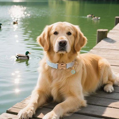 Custom Bling Nylon Dog Collar Free Engraved Puppy Dog ID Name Collars With Cute Flower Tag Accessory For Small Medium Dogs Cats