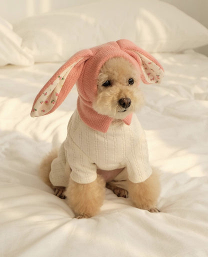 Dog Hat Autumn Winter Windproof Warmth Cover Cute Rabbit Ears Knitted Pet Cap Pink Ins Dogs Headwear New  Kitten Puppy Earmuffs