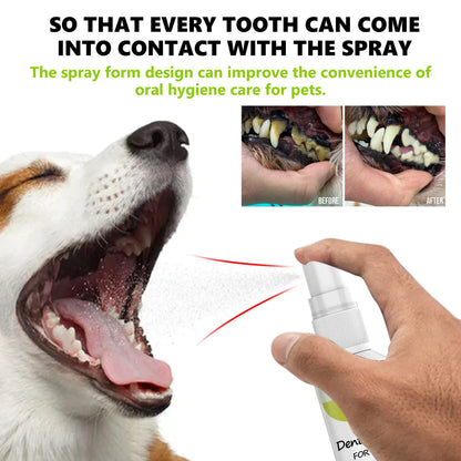 Pet Oral Cleaning Spray Mouth Tartar Plaque Clean Kitten Bad Breath Removal Dntal Calculus Prevention Cat Breath Freshen Liquid
