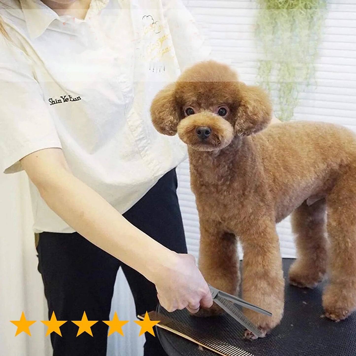 Portable Curved Pet Hair Scissors Grooming Both Hand Available Stainless Steel Dog Scissors Pets Shears Animal Cutting Scissors