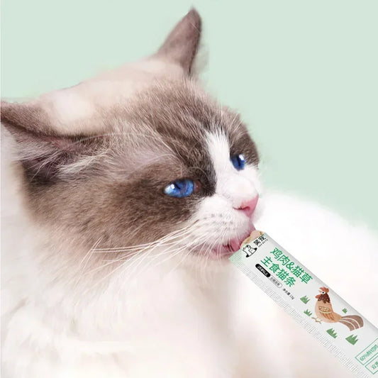 Cat Wet Food Pet Treats Interactive Rewards Kitty Snacks Cat Snacks Training Reward Cat Staple Food Salmon Cat Fattening Cheeks