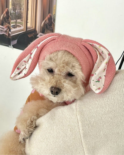 Dog Hat Autumn Winter Windproof Warmth Cover Cute Rabbit Ears Knitted Pet Cap Pink Ins Dogs Headwear New  Kitten Puppy Earmuffs