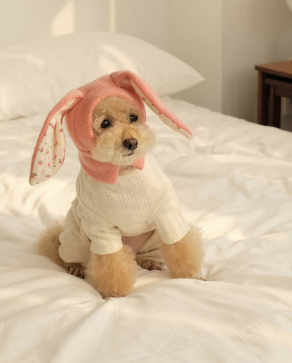 Dog Hat Autumn Winter Windproof Warmth Cover Cute Rabbit Ears Knitted Pet Cap Pink Ins Dogs Headwear New  Kitten Puppy Earmuffs